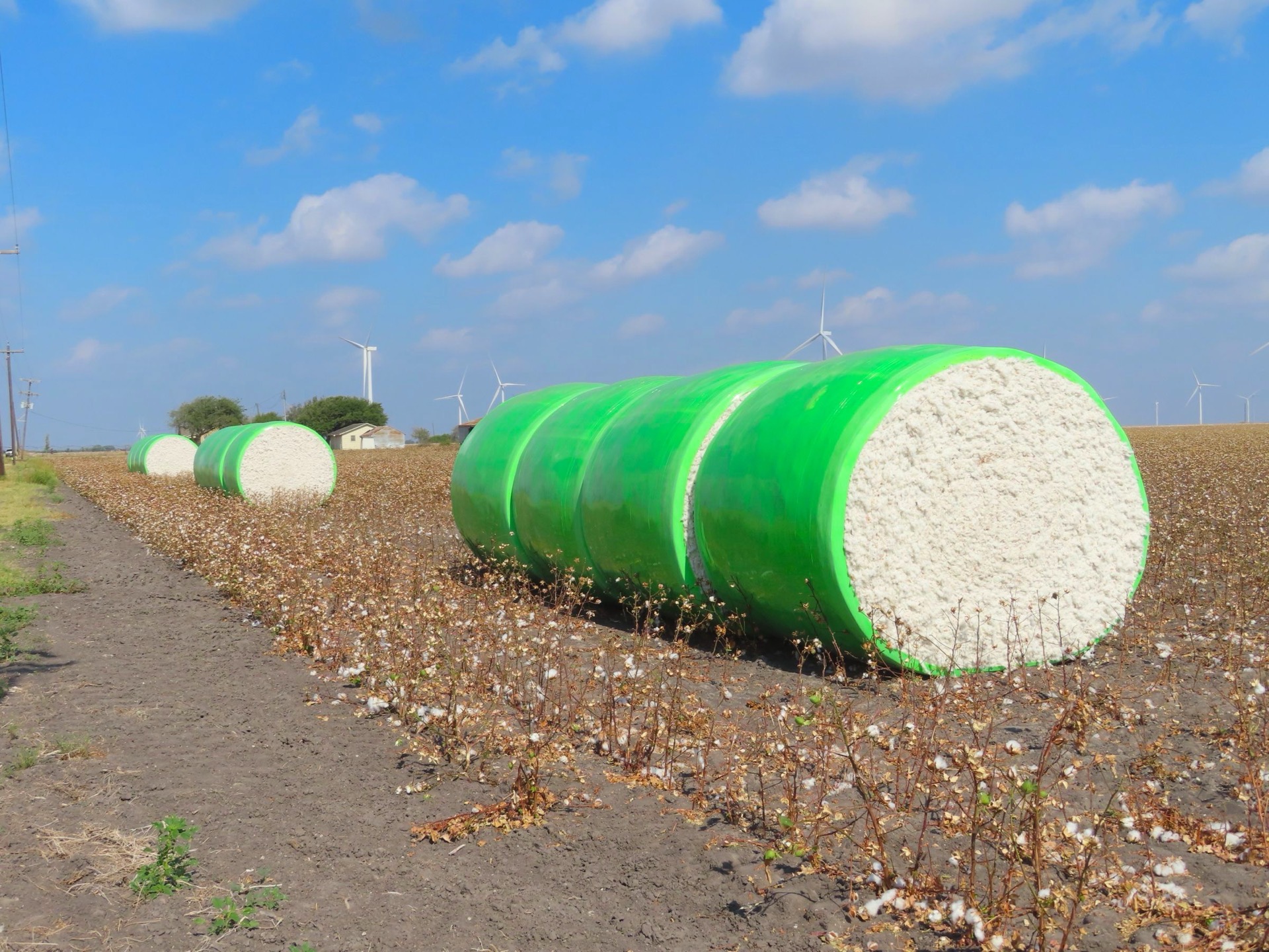 TRU·GREEN wrapped cotton bales in the field